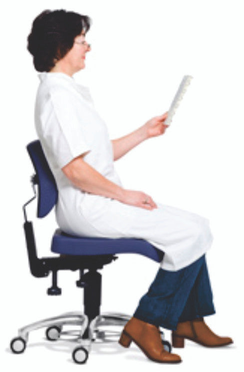 Executive ERGO Chair