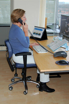 Executive ERGO Chair