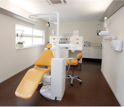 ErgoDynamic Chairs